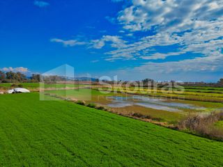Αγροτεμάχια 22.046 τ.μ. προς πώληση, Νέα Κίος-thumb-13