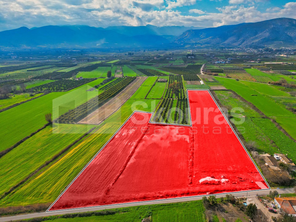 Αγροτεμάχια 22.046 τ.μ. προς πώληση, Νέα Κίος