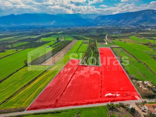 Αγροτεμάχια 22.046 τ.μ. για πώληση