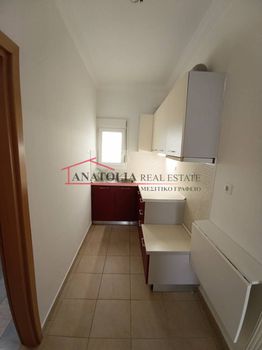 Studio 60 sqm for rent