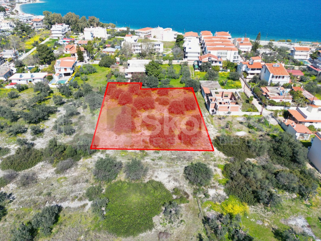 Οικόπεδο 2.898 τ.μ. προς πώληση, Κάτω Αλμυρή