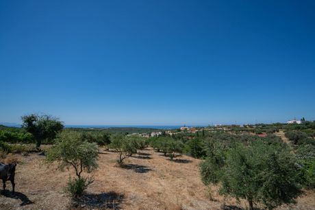 Parcel 6.897sqm for sale-Arkadi » Loutra