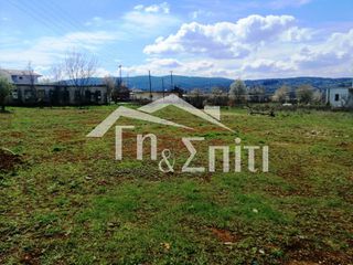 Οικόπεδο 924 τ.μ. για πώληση, Ν. Ιωαννίνων, Πασσαρώνα-thumb-14