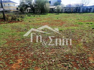 Οικόπεδο 924 τ.μ. για πώληση, Ν. Ιωαννίνων, Πασσαρώνα-thumb-12