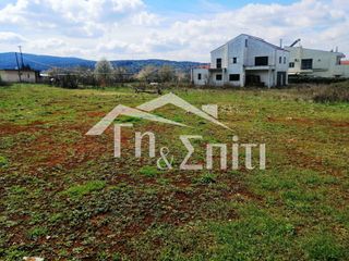 Οικόπεδο 924 τ.μ. για πώληση, Ν. Ιωαννίνων, Πασσαρώνα-thumb-13