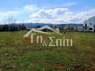 Οικόπεδο 924 τ.μ. για πώληση, Ν. Ιωαννίνων, Πασσαρώνα-thumb-16
