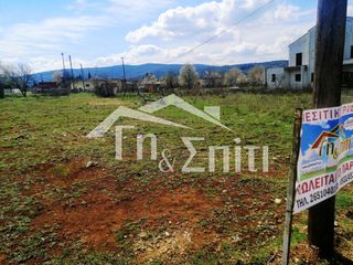 Οικόπεδο 924 τ.μ. για πώληση, Ν. Ιωαννίνων, Πασσαρώνα-thumb-2