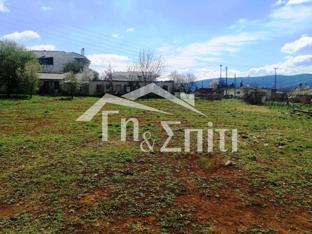 Οικόπεδο 924 τ.μ. πρός πώληση, Ν. Ιωαννίνων, Πασσαρώνα