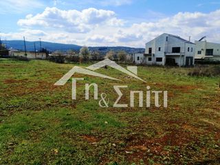 Οικόπεδο 924 τ.μ. για πώληση, Ν. Ιωαννίνων, Πασσαρώνα-thumb-17