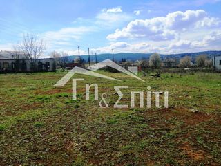 Οικόπεδο 924 τ.μ. για πώληση, Ν. Ιωαννίνων, Πασσαρώνα-thumb-8