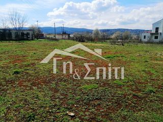 Οικόπεδο 924 τ.μ. για πώληση, Ν. Ιωαννίνων, Πασσαρώνα-thumb-15