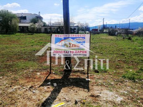 Οικόπεδο 924τ.μ. για πώληση-Πασσαρώνα » Ελεούσα