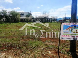 Οικόπεδο 924 τ.μ. για πώληση, Ν. Ιωαννίνων, Πασσαρώνα-thumb-1