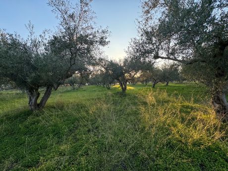 Parcel 5.178sqm for sale-Arkadi » Pigi