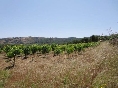 Parcel 8.102sqm for sale-Nikiforos Fokas » Athanatos