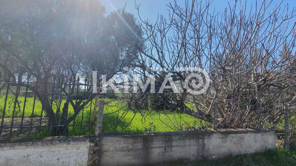 Αγροτεμάχια 300 τ.μ. προς πώληση, Παραλία Νέας Τριγλίας