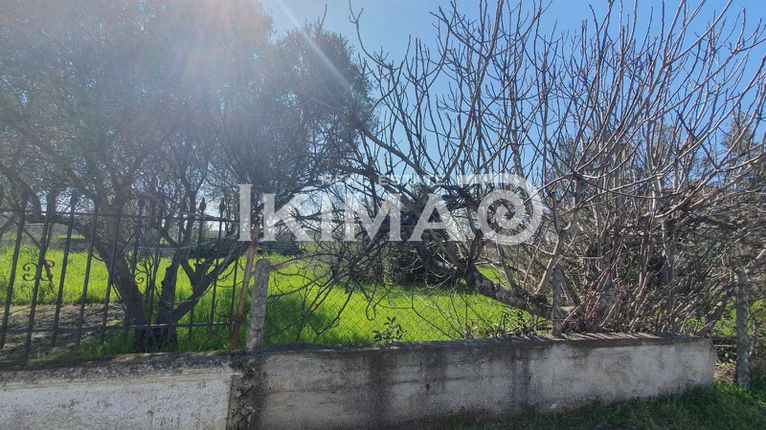 Αγροτεμάχια 300 τ.μ. για πώληση, Χαλκιδική, Τριγλία