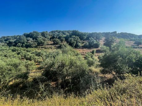 Land plot 1.000sqm for sale-Rethimno » Selli