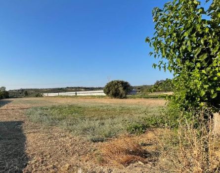 Land plot 3.002sqm for sale-Arkadi » Pigi