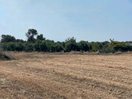 Parcel 10.300sqm for sale-Arkadi » Pagkalochori