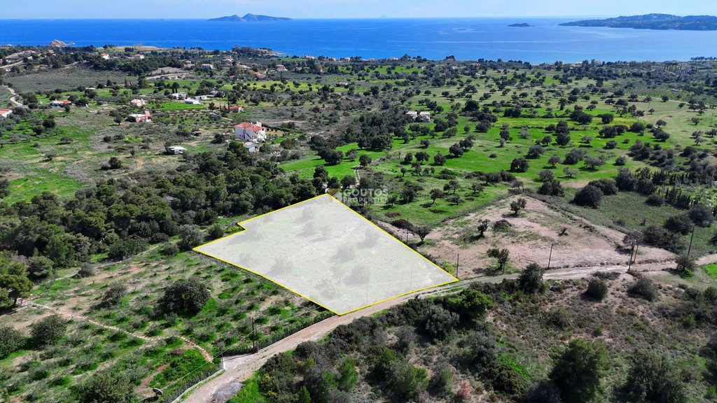 Αγροτεμάχια 4.016 τ.μ. προς πώληση, Πετροθάλασσα