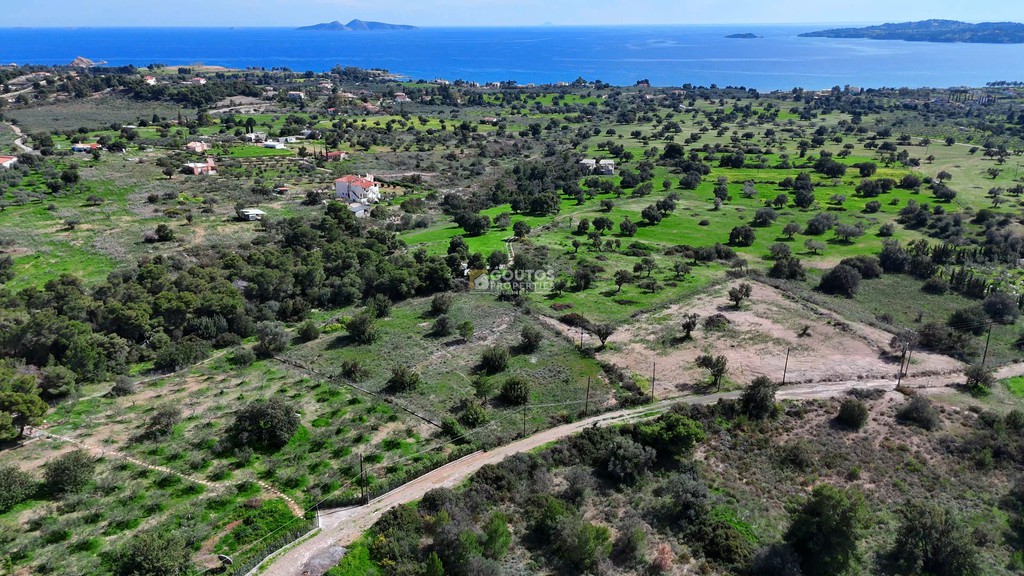 Αγροτεμάχια 4.016 τ.μ. προς πώληση, Πετροθάλασσα