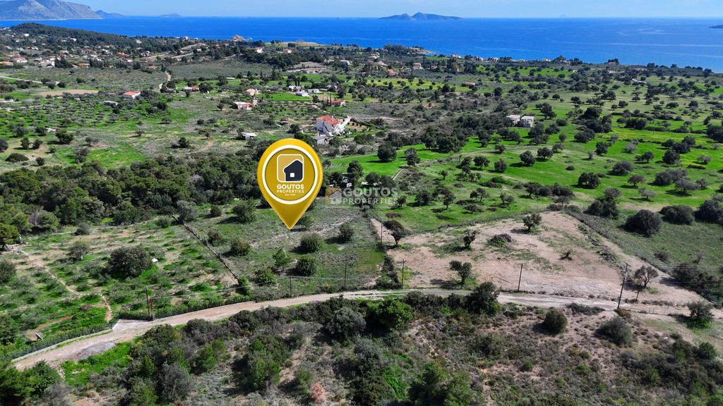 Αγροτεμάχια 4.016 τ.μ. προς πώληση, Πετροθάλασσα