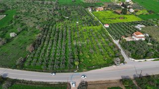 Οικόπεδο 18.000 τ.μ. για πώληση, Αργολίδα, Κρανίδι-thumb-2
