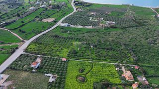 Οικόπεδο 18.000 τ.μ. για πώληση, Αργολίδα, Κρανίδι-thumb-5