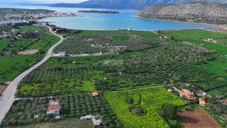 Οικόπεδο 18.000 τ.μ. για πώληση, Αργολίδα, Κρανίδι-thumb-6