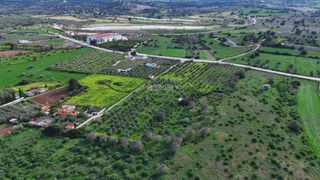 Οικόπεδο 18.000 τ.μ. για πώληση, Αργολίδα, Κρανίδι-thumb-1