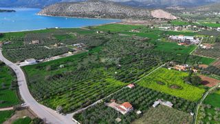 Οικόπεδο 18.000 τ.μ. για πώληση, Αργολίδα, Κρανίδι-thumb-3