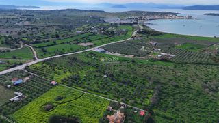 Οικόπεδο 18.000 τ.μ. για πώληση, Αργολίδα, Κρανίδι-thumb-7