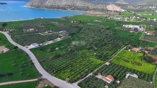 Οικόπεδο 18.000 τ.μ. για πώληση, Αργολίδα, Κρανίδι-thumb-4