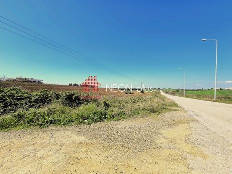 Αγροτεμάχια 5.800τ.μ. για πώληση-Κασσάνδρα » Νέα φώκαια