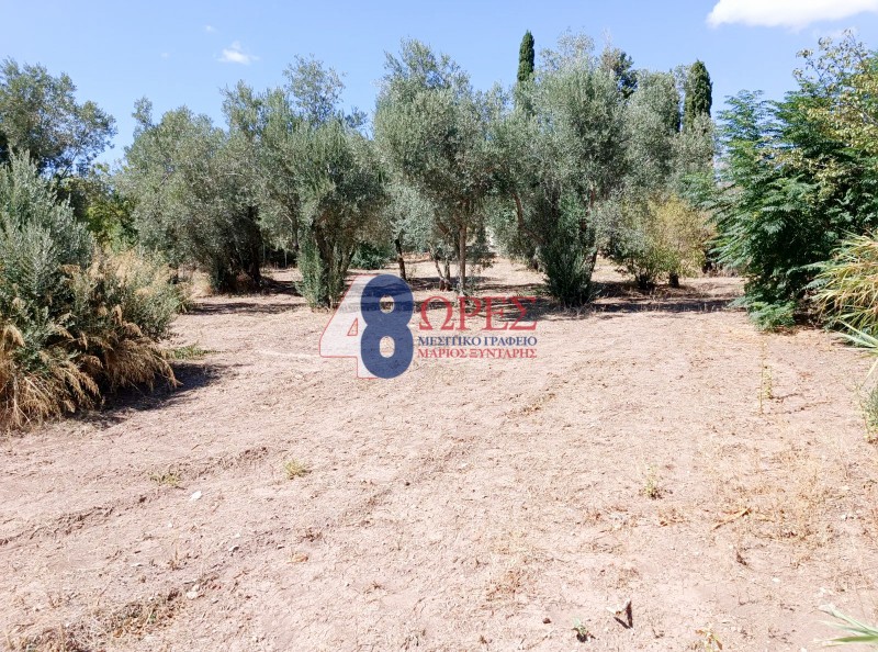 Οικόπεδο 1.150 τ.μ. προς πώληση, Άγιος Μηνάς Χίου