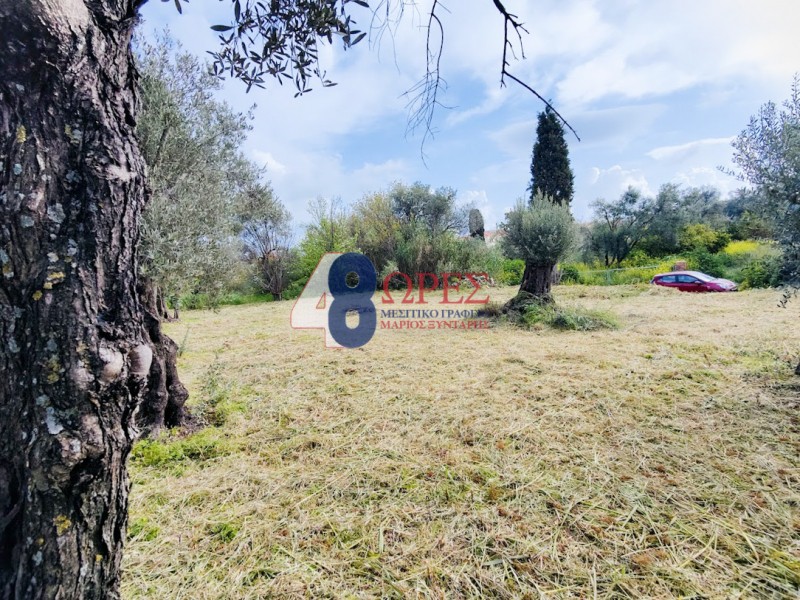 Οικόπεδο 1.150 τ.μ. προς πώληση, Άγιος Μηνάς Χίου
