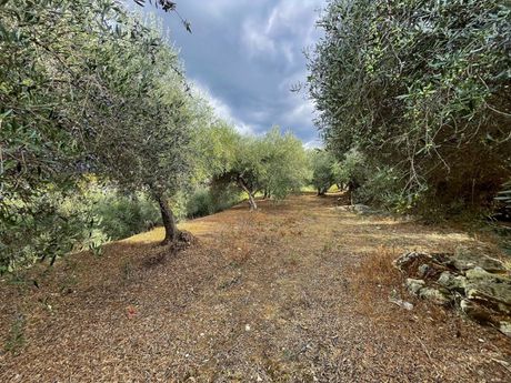 Parcel 12.774sqm for sale-Geropotamos » Perama