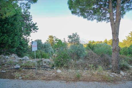 Parcel 5.253sqm for sale-Geropotamos » Orthes