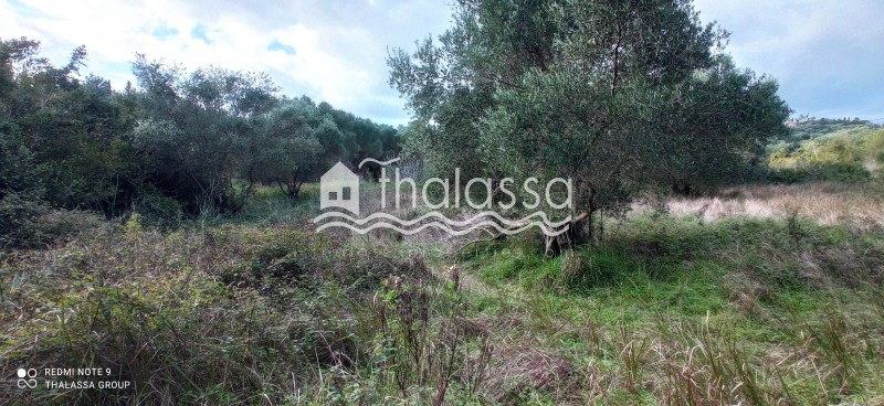 Οικόπεδο 12.000 τ.μ. προς πώληση, Λειβαθώ