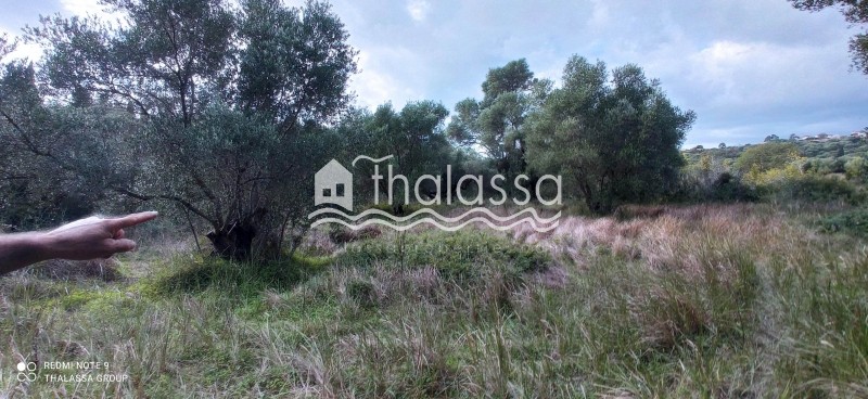 Οικόπεδο 12.000 τ.μ. προς πώληση, Λειβαθώ