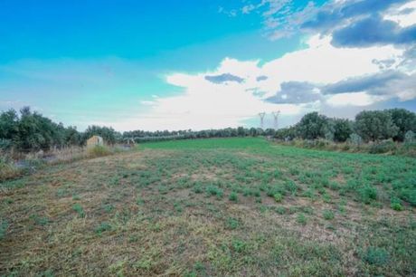 Parcel 7.250sqm for sale-Arkadi » Adelianos Kabos