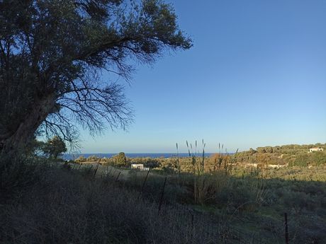 Land plot 2.370sqm for sale-Arkadi » Pigianos Kabos