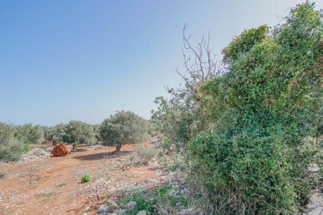 Parcel 4.667sqm for sale-Nikiforos Fokas » Atsipopoulo