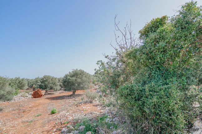 Αγροτεμάχια 4.667 τ.μ. για πώληση, Ν. Ρεθύμνου, Νικηφόρος Φωκάς