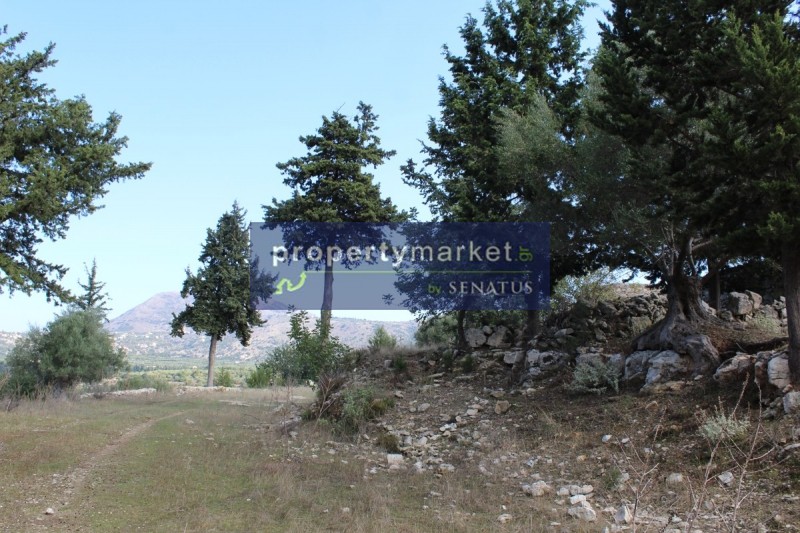 Οικόπεδο 42.000 τ.μ. προς πώληση, Δουλιανά