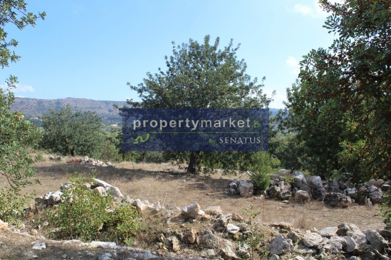 Οικόπεδο 42.000 τ.μ. προς πώληση, Δουλιανά