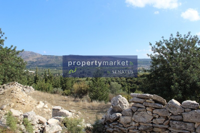 Οικόπεδο 42.000 τ.μ. προς πώληση, Δουλιανά