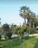 Studio 37sqm for sale-Zografou » Center
