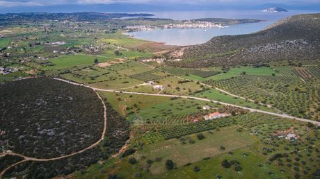 Parcel 16.948sqm for sale-Kranidi » Vlachopouleika